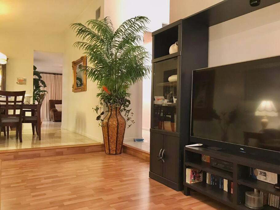 Pool House In Tropical Miami Βίλα Εξωτερικό φωτογραφία